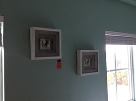 Two small shells shadow box