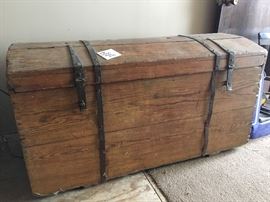 Large trunk