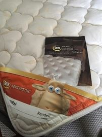 Serta Queen Mattress