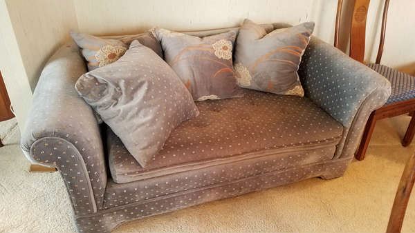 Plush Upholstered Sofa (2)