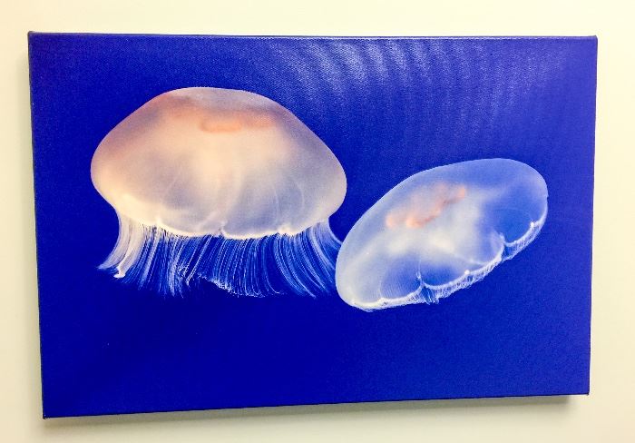 Jellyfish prints