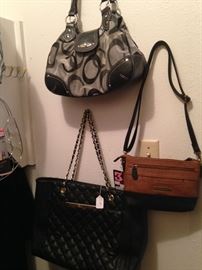 Some of the many purses