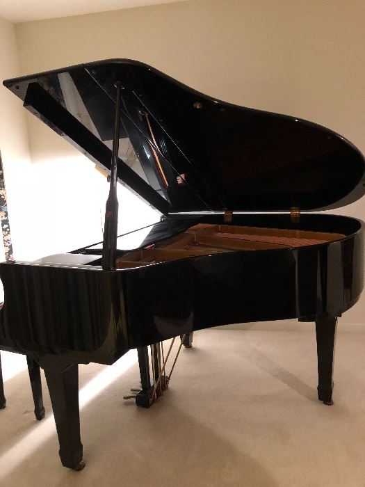 Young Chang G-157 Baby Grand Piano   -   $3000                                  Ebony Polish                                                                                      This item can be pre-sold at asking price                               