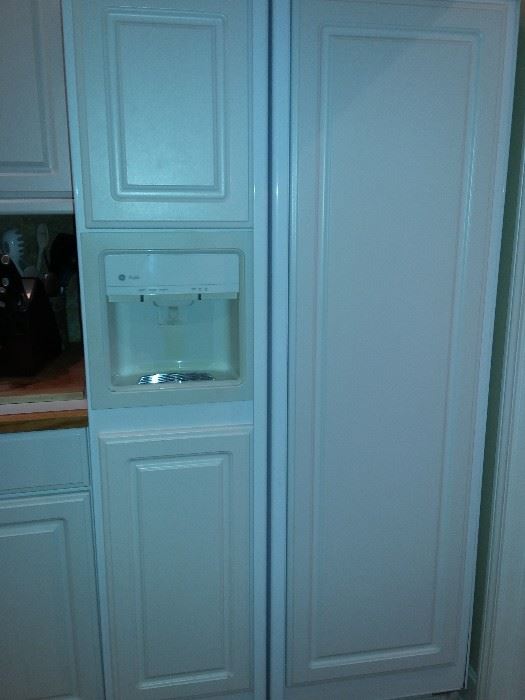 Side x Side Refrigerator with White Panel Front