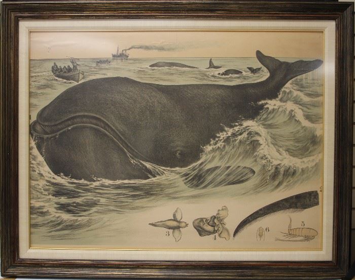 LOT #79- VINTAGE FRAMED LITHOGRAPH OF WHALE, 37" X 47"