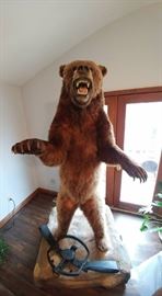 MASSIVE Standing Grizzly Bear Full Mount! FANTASTIC!
