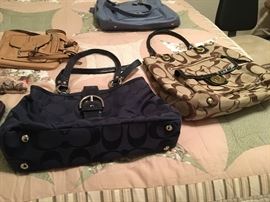 Coach Purses