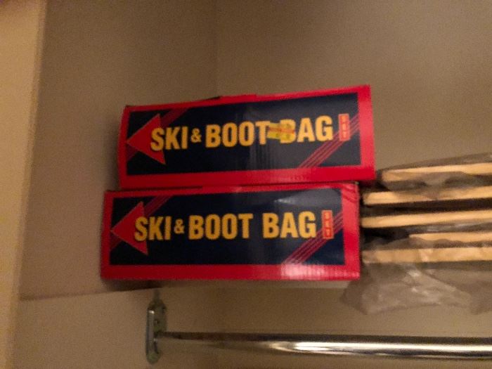 ski boot bag