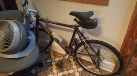 Giant Brand Iguana 650 Bike