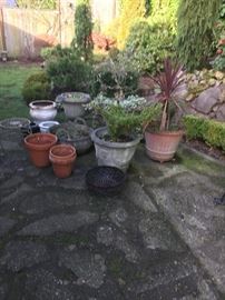 miscellaneous stone and terra cotta pots for sale