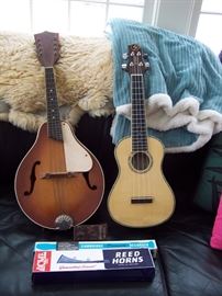 Ukulele's and Reed Horn