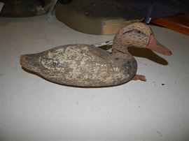 decoys, working, Swan Island, some signed