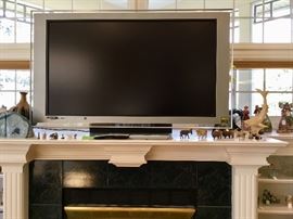 Large flat screen tv