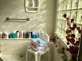Shower chair (1 of 2) shampoos etc