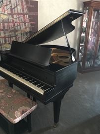 Play it again Sam!! This baby needs a new home! Farrand of Holland Michigan!