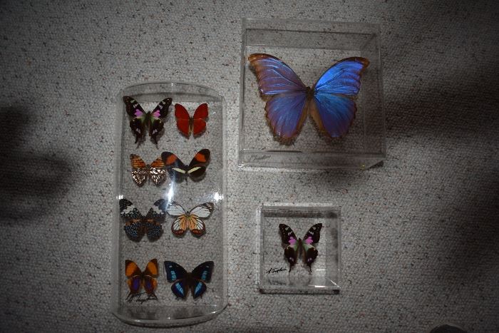 Butterflies Collectible John Jurek