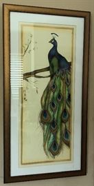 Peacock Wall Art