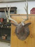 Carved Wood Deer Head