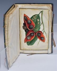 Chinese botanical studies