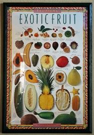 Exotic fruit print