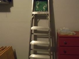 6' Alum Ladder