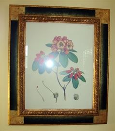 Floral Print