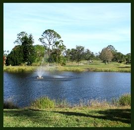 View from the backyard of this Gorgeous Lake Suzy Home that will be on the market very soon 