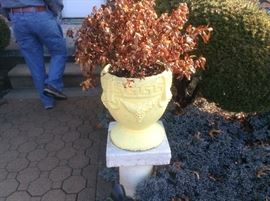 Large Cement Planters