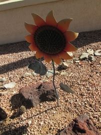Happiness is a BIG Sunflower!