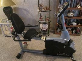 Schwinn Recumbent #202 BioDyne Exercycle