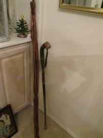 Walking Sticks