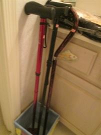 "Hurricane" canes and others