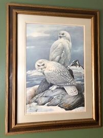 R Todd Snow Owls