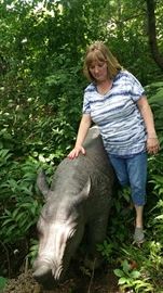 Cast Metal Rhinoceros - About the size of a real baby Rhino