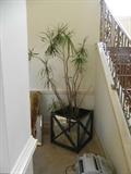 MIRRORED PLANTER W/ PLANT