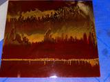 INTERESTING ART DONE ON ACRYLIC