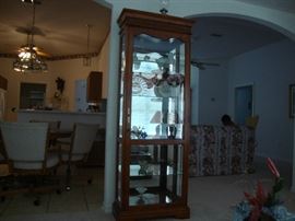 "Jasper" Curio cabinet with beveled glass front