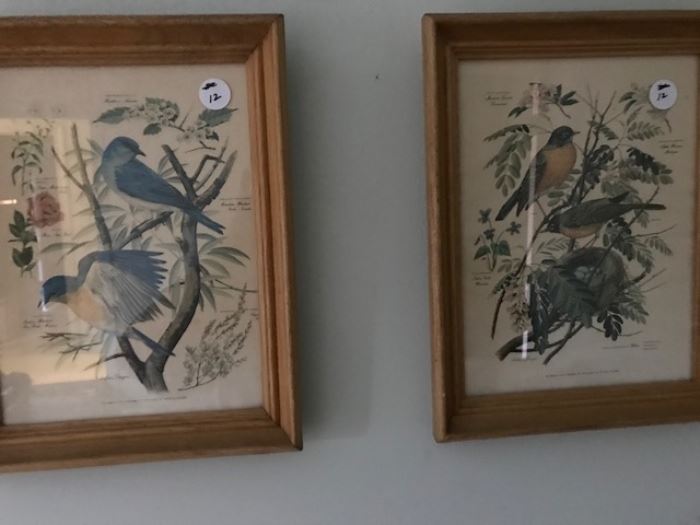 Set of vintage bird prints (2 of six)