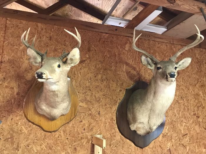 Fish River Estate Sale by Fairhope Antiques starts on 1/26/2018