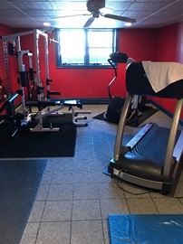 Group shot of gym equipment