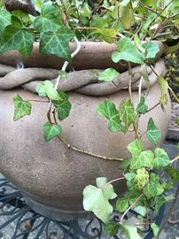 Close up of planter. 