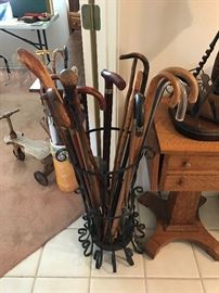 Some very old canes