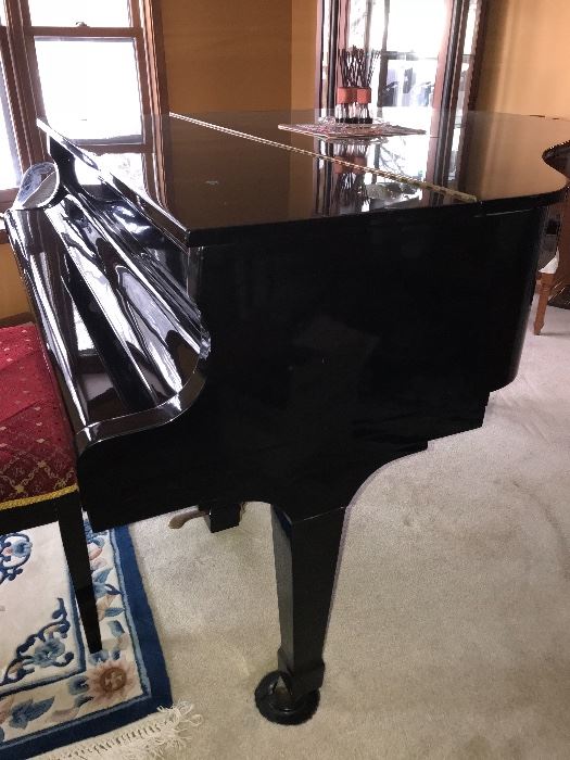 Baby Grand Piano 