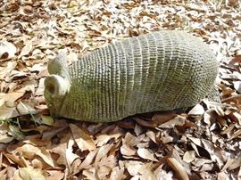 Concrete armadillo