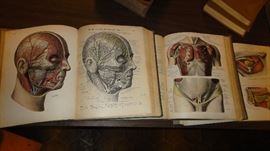 Atlas of Human Anatomy 1,2,&3, Sorrotta