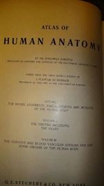 Atlas of Human Anatomy 1,2,&3, Sorrotta