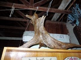 bring the outside in!!