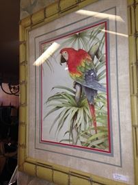 Framed parrot picture