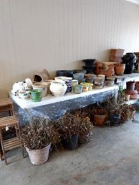 Plants, stands, clay pots, ceramic pots and concrete pots