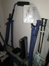Back Bedroom Center: In-Stride Performer 55-9005, Exerstrider Walking Poles, 